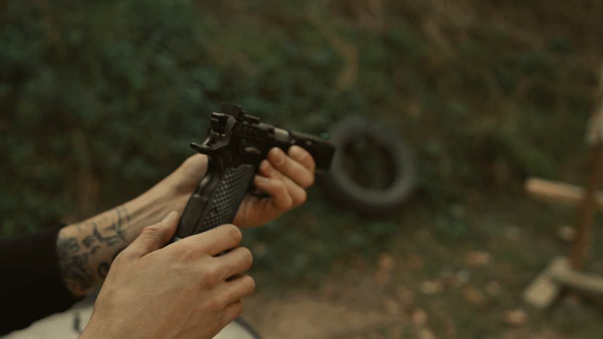 pistol with iron sights